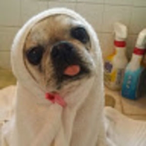 Meet your Posher, Natprada